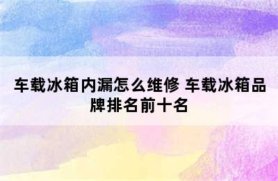 车载冰箱内漏怎么维修 车载冰箱品牌排名前十名